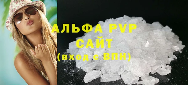 apvp Иннополис