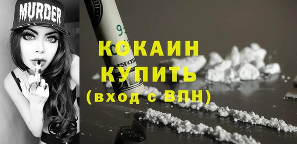 apvp Иннополис