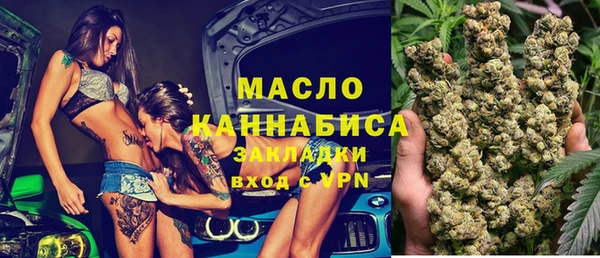 твердый Инта