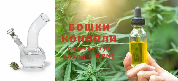 apvp Иннополис