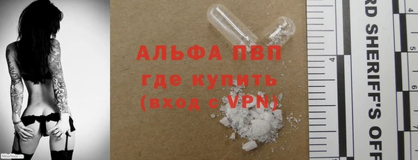 твердый Инта