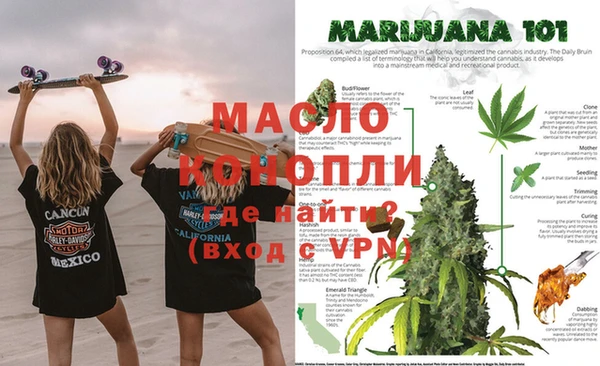 твердый Инта
