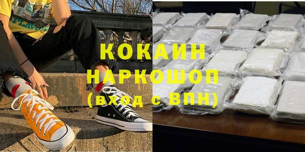 apvp Иннополис