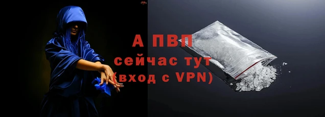 apvp Иннополис
