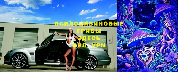 твердый Инта