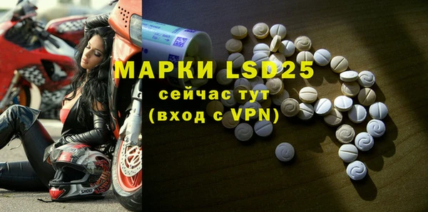 apvp Иннополис