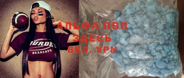 apvp Иннополис