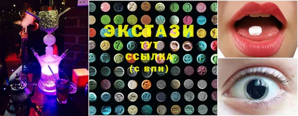 apvp Иннополис