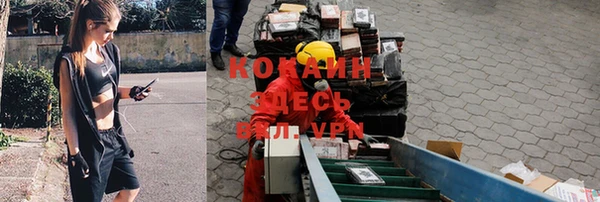 твердый Инта
