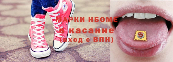 твердый Инта