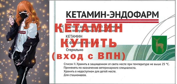 apvp Иннополис