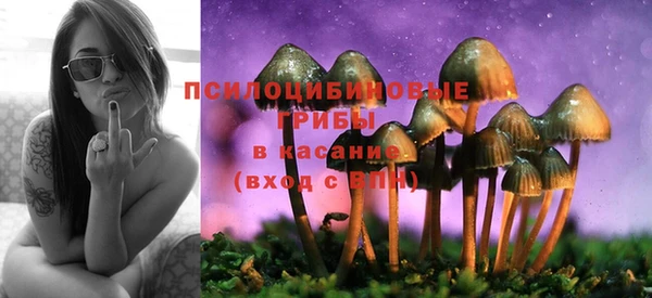 apvp Иннополис